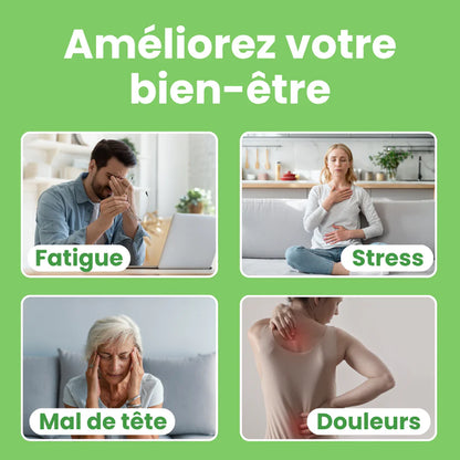 Patchs détox - Détolmax